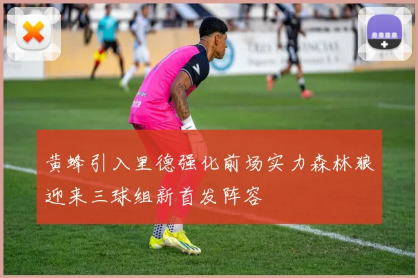 黄蜂引入里德强化前场实力森林狼迎来三球组新首发阵容