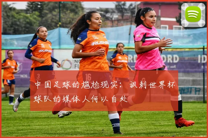 中国足球的尴尬现实：讽刺世界杯球队的媒体人何以自处